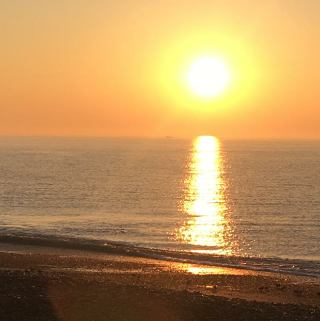 Eastbourne Removals tweet media