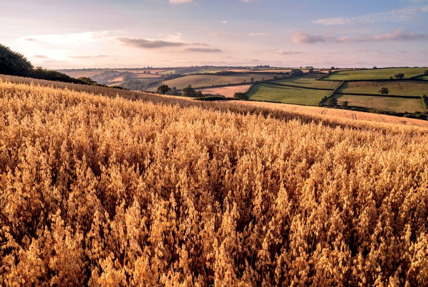 FoodDrinkWIB's tweet photo. Eleni, ni'n gobeithio y bydd mwy o fusnesau #bwyd a #diod #Cymru'n dod yn fwy #cynaliadwy.  Chwilio am awgrymiadau ynghylch sut i wneud eich busnes yn fwy cynaliadwy? Ewch i: https://t.co/S5tu5d2TXi

#FDWIB #BwydDiodCymru https://t.co/NnnHVOSYjq