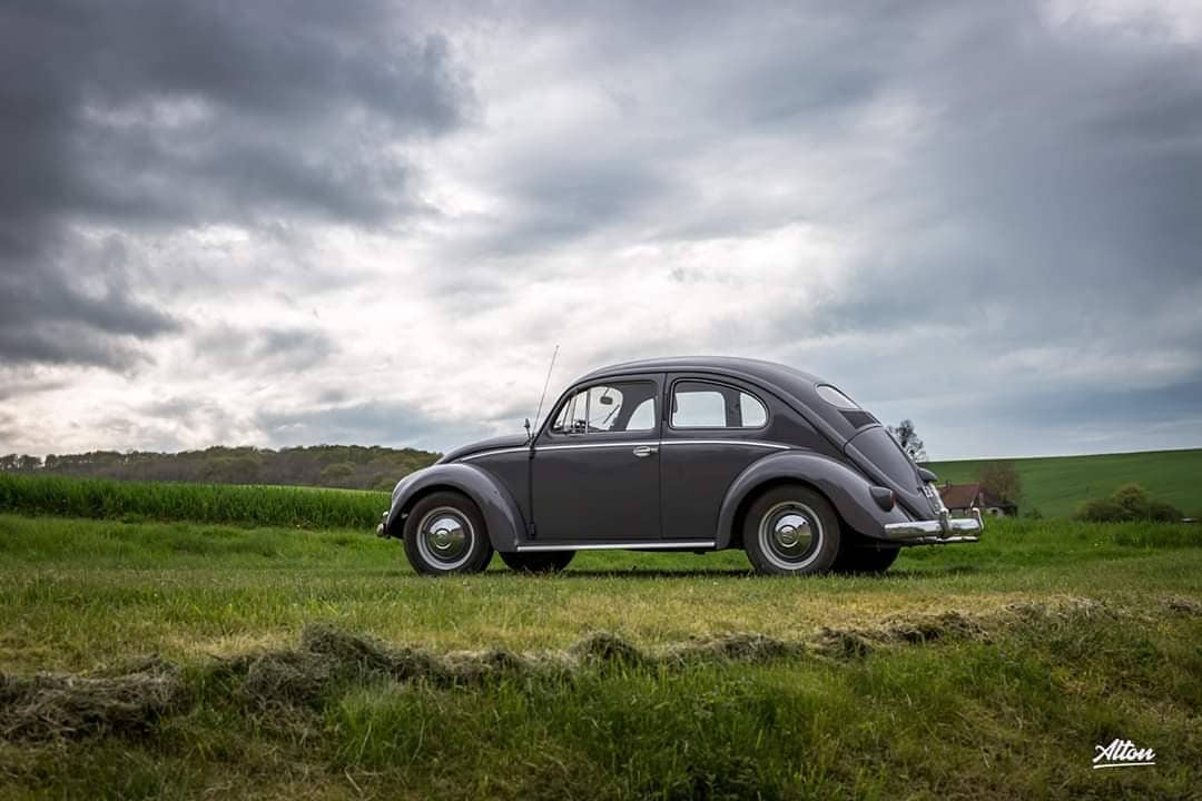 altongarage's tweet photo. Aujourd'hui, cela fait 4 ans jour pour jour que j'ai réceptionné en provenance du Portugal cette vieille Coccinelle de presque 63 ans.

Livraison de cette livraison improbable est à voir ici : https://t.co/rMKZDr7Tit

(Trop long pour Twitter 😅) https://t.co/WsAcIDVaaf