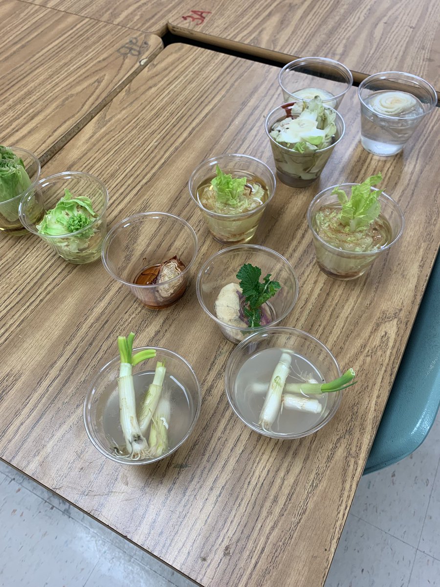 Julie Beesley tweet media