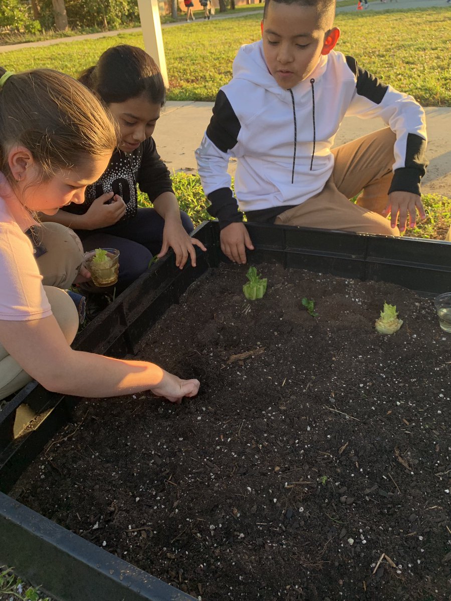 Julie Beesley tweet media