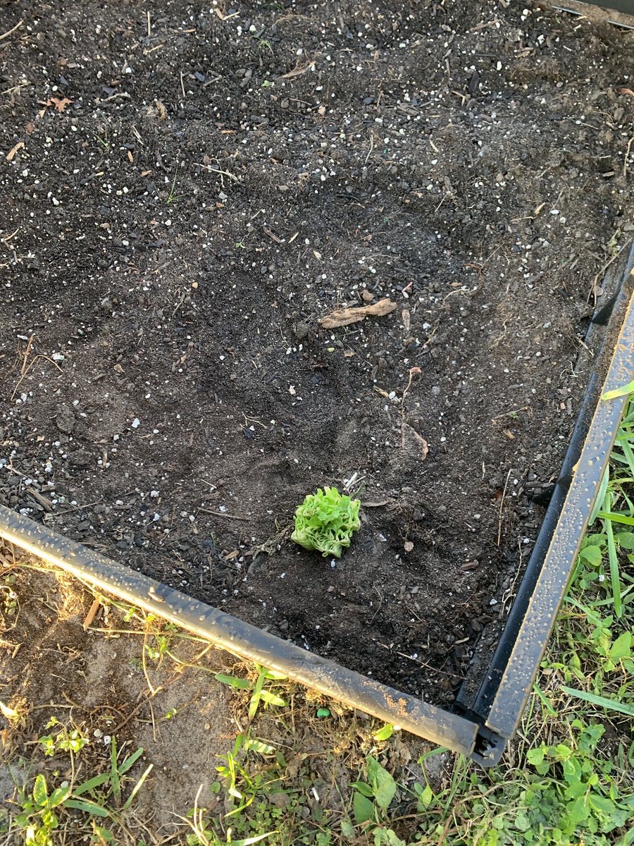 Julie Beesley tweet media