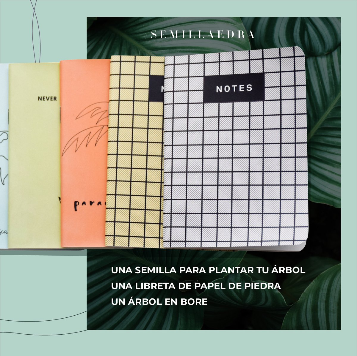 Colaboramos con <a href="/treenation/">Tree-Nation</a> , una ONG que está ayudando a crear nuevos “pulmones” en el planeta. Nuestro reto es crear un nuevo pulmón en Kenia, y necesitan financiación para 201.317 árboles.

#YouCanPlant #trees #ODSchangetheworld