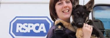 unite_southeast's tweet photo. RSPCA workers to hold strike ballot over new detrimental ‘bully boy’ contracts https://t.co/yEqdBvDHv6 https://t.co/ZxAJcBQrTm