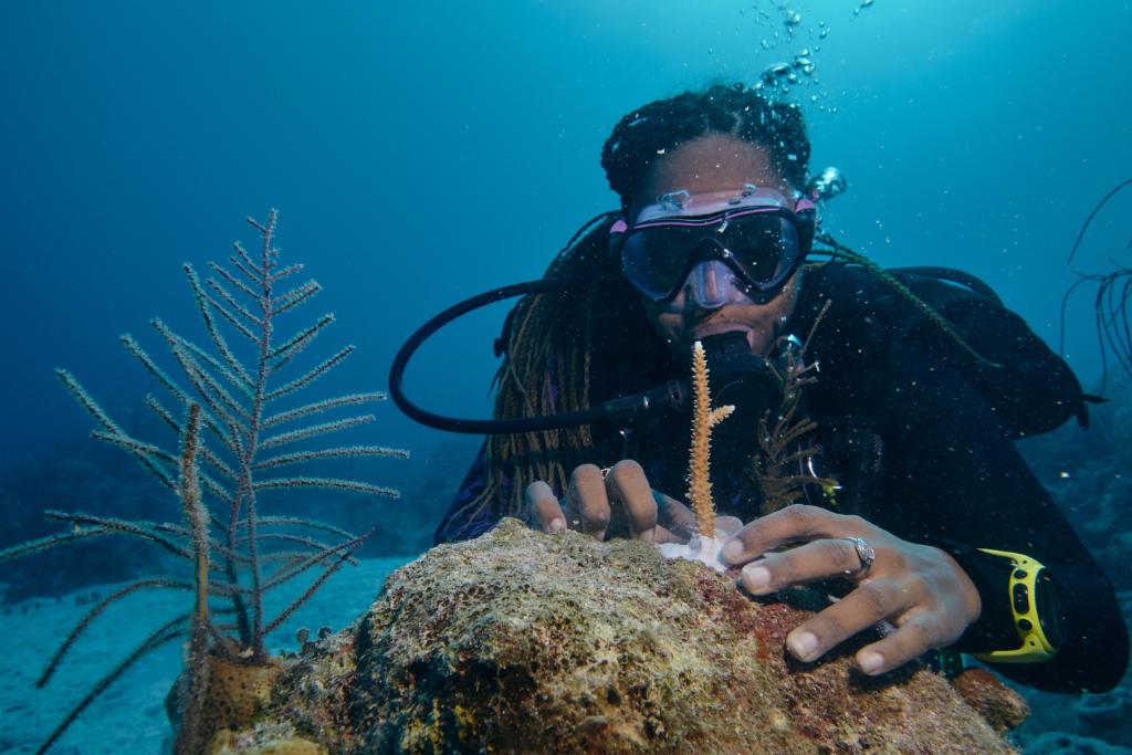 Un tiempo sabático en las Bahamas: dos meses de inmersión en la cultura real del archipiélago. No se incluye bañador pero todo lo demás sí.

Envía tu candidatura antes de las 23:59 EST del 18 de febrero de 2020. Sujeto a condiciones.

airbnb.es/d/sabbatical