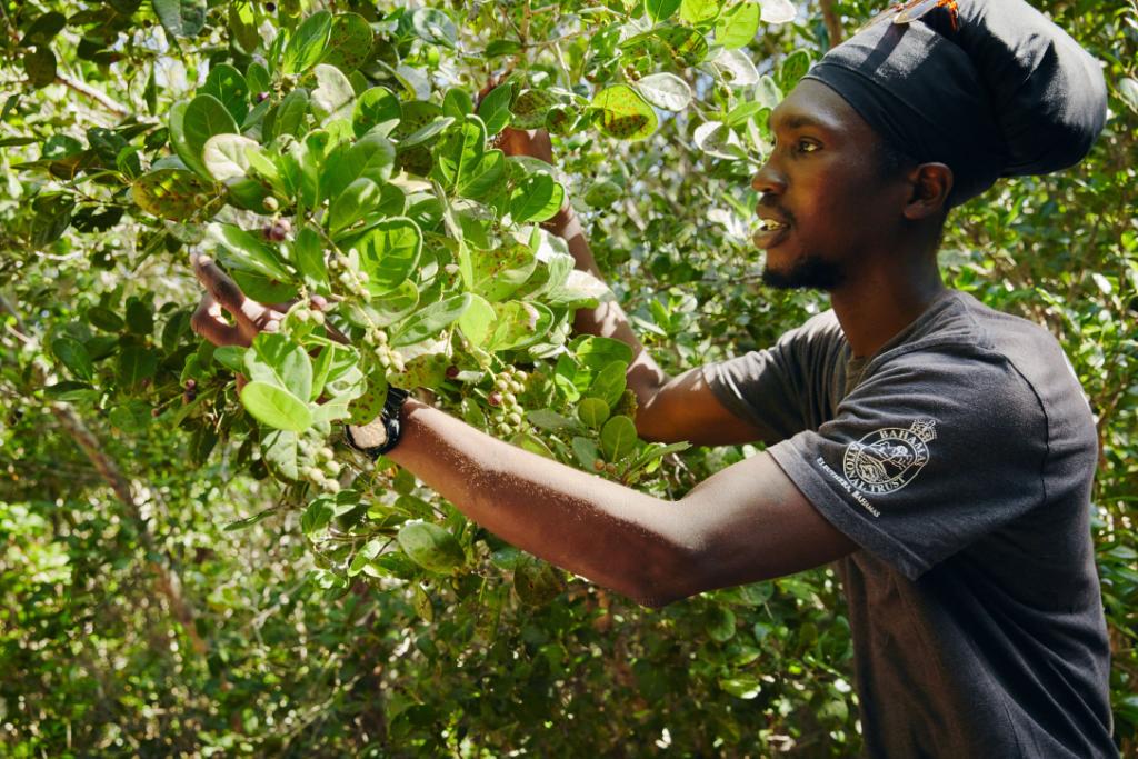 Un tiempo sabático en las Bahamas: dos meses de inmersión en la cultura real del archipiélago. No se incluye bañador pero todo lo demás sí.

Envía tu candidatura antes de las 23:59 EST del 18 de febrero de 2020. Sujeto a condiciones.

airbnb.es/d/sabbatical