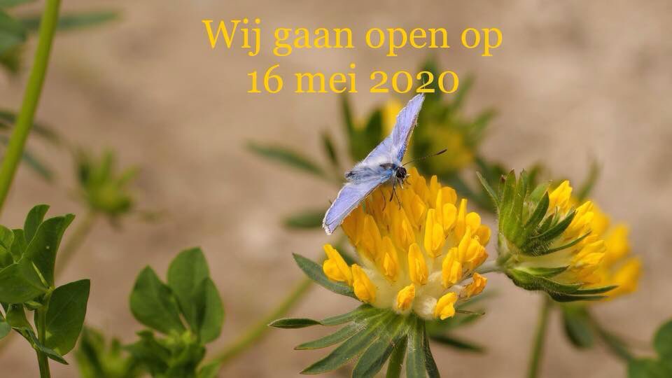 #vlinders #veluwe #dagjeuit