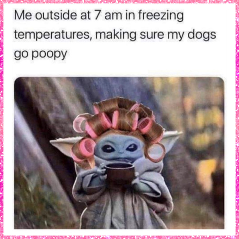 fatkid_cool's tweet photo. Good Morning ☕️⛅️🐕 #BabyYoda #Meme #Memes #MemesDaily #Yoda #FunnyMemes #Funny #FunnyShit #MemeSquad #TwitterMemes #FollowMeme https://t.co/O43NQXAnwx