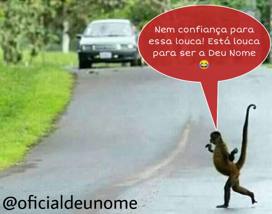 deunomeoficial's tweet photo. #TABOA #SUPERAFOFA #MEACOMPANHAMAIS #HATERDASMANAS
A Mana é odiada, mas na realidade é amada. SUPERA esse amor, porque página bolsominian nos odiar é um elogio. Não adianta odiar as manas e estar aqui se batendo, se informando, comentando e compartilhando. https://t.co/e0GFOsej4j