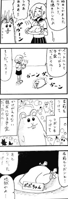  AIR さんのマンガ ツイコミ(仮)