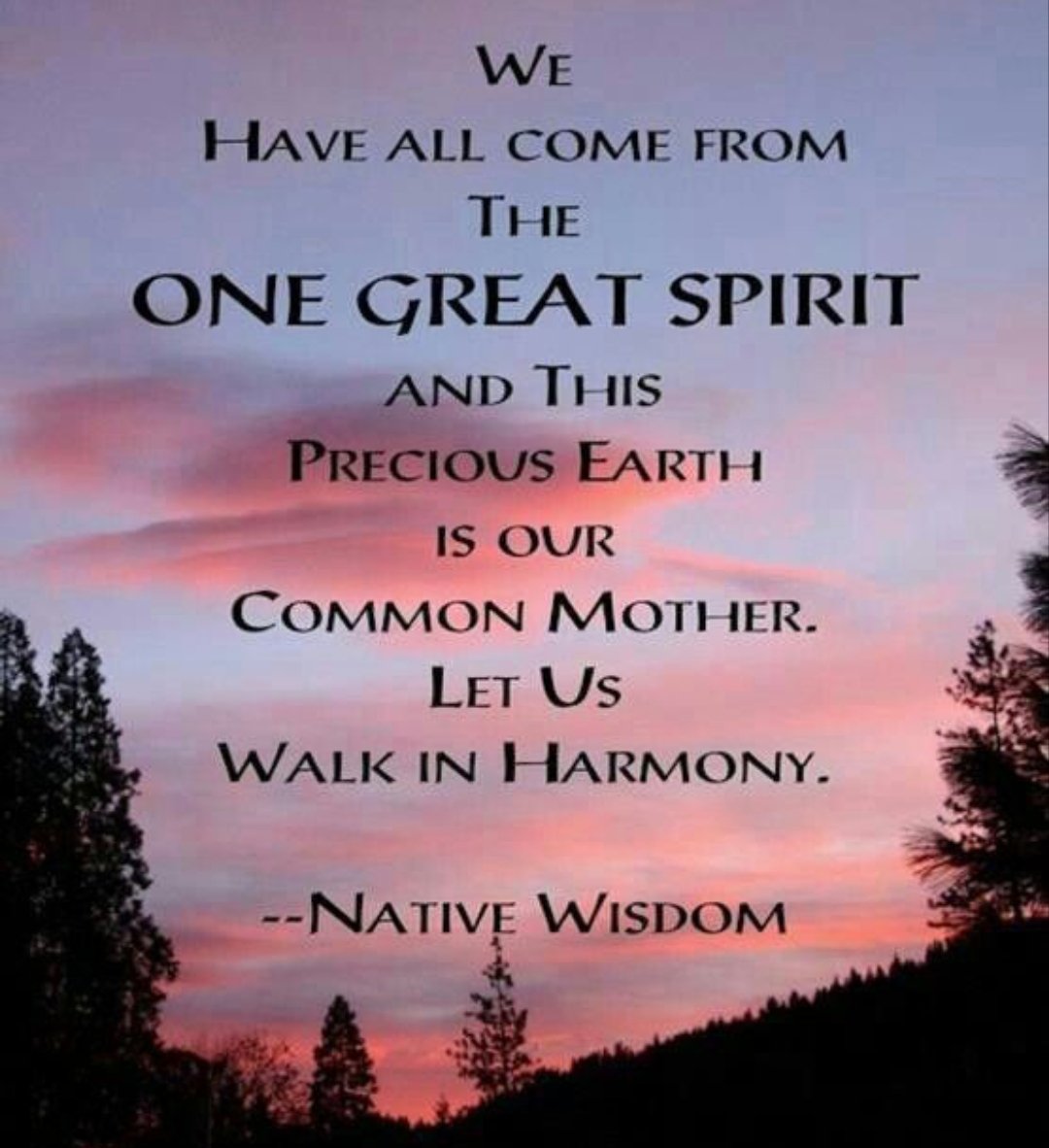 Native American Day on Twitter "Retweet if you agree! americanindian