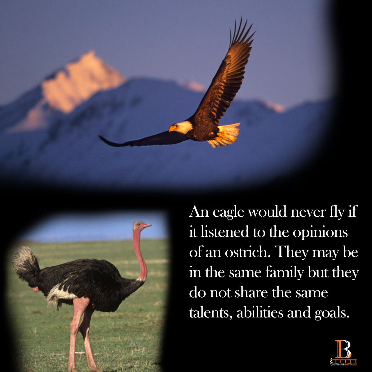 BeyondLimitsMG's tweet image. Remember this when you share your thoughts and dreams with others. Take actions regardless of the opinions of your friends and family. You were built and designed uniquely for your own purpose and mission. #PushBeyondYourLimits