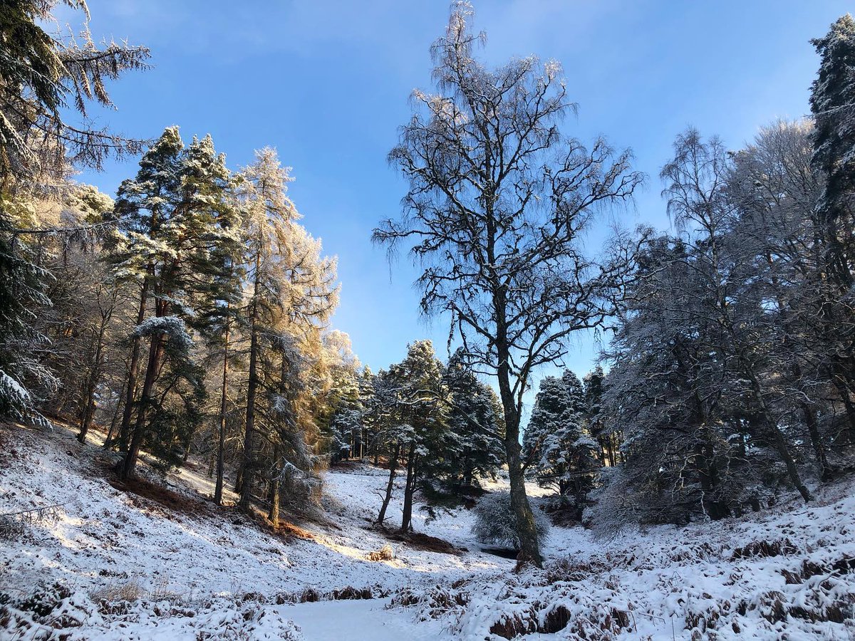 Sunshine after the #snow ❄️ #dunkeld #thisisscotland #highlandperthshire