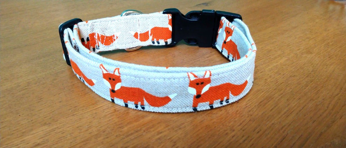 #dogsoftwitter #puppylove