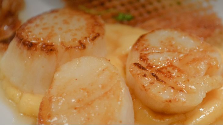 Create like a celebrity chef! This Pan-Seared #Scallop recipe is sure to wow your guests. mcys.co/2NW6Q9M