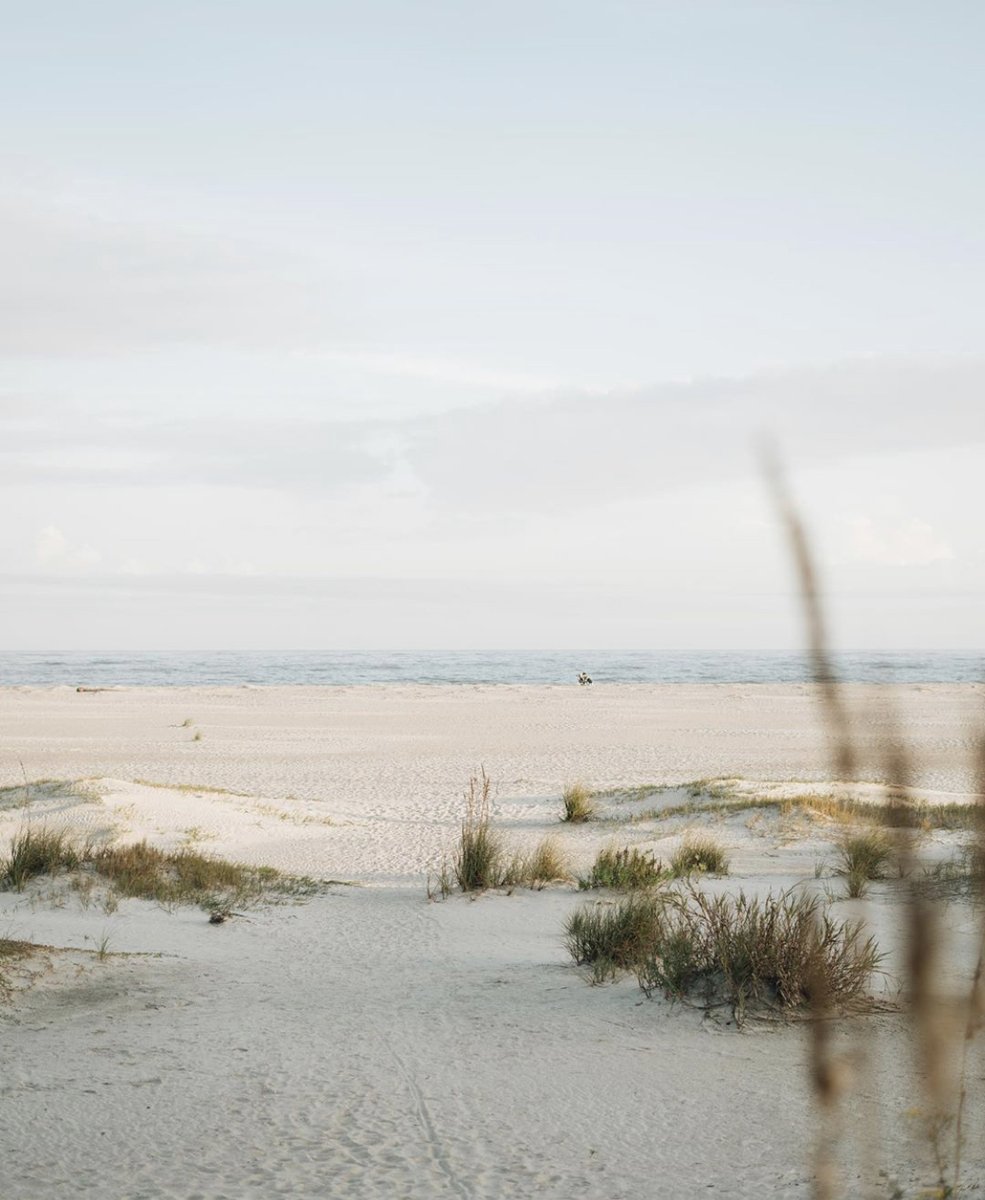 OldWhalingCo's tweet photo. A brisk 55 degrees in Charleston has us dreaming of warmer days in the sun, surf, and sand ☀️// 📸: Cameron Wilder https://t.co/8wEW9gWWNG
