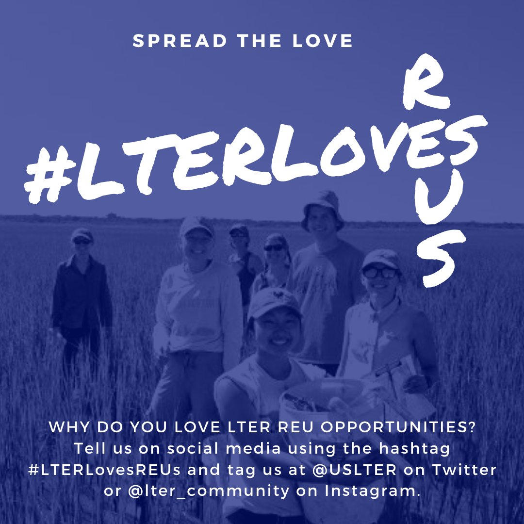 Use #LTERlovesREUs