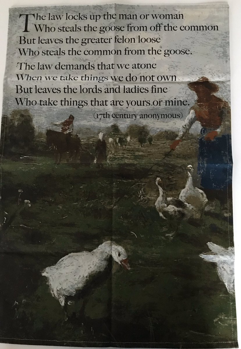 Mandy Groves tweet media