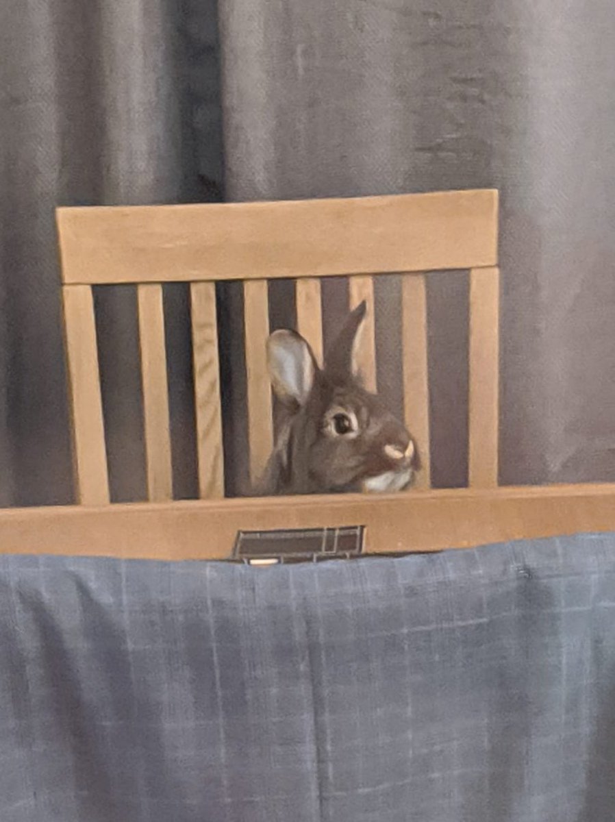 Larry90690653's tweet photo. Come on, where's my tea?!?
🥗🥬🥦 https://t.co/dLE0Te4bO1