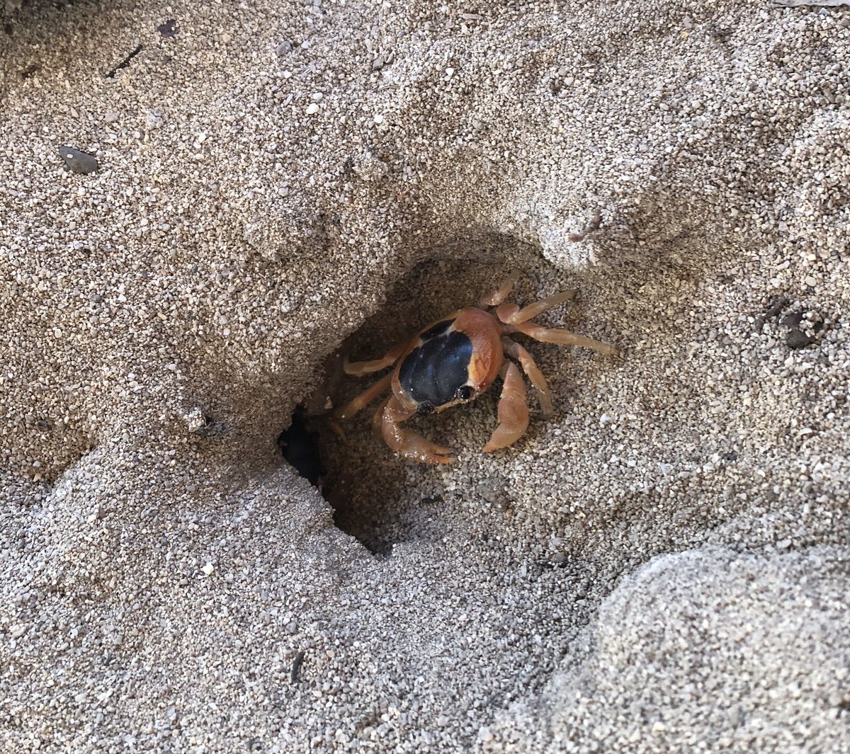 A disfrutar República Dominicana 🇩🇴