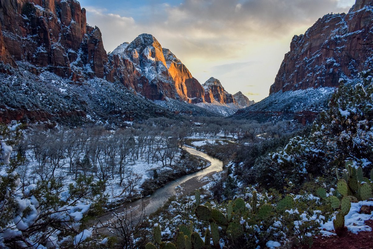 Snowy view of cliffs and river from the Kayenta Trail in Zion National Park. Image by Avery Sloss⁣.