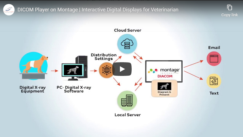 FollowSBD's tweet photo. Want to learn more about Montage and get an indepth look at features and hardware? Check out our video library over at https://t.co/Kmw56Z4bH2 https://t.co/XtPrPzPUTR