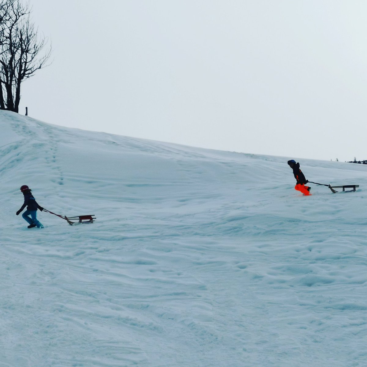 Wildschönau - Tirol (@wildschoenau) on Twitter photo 