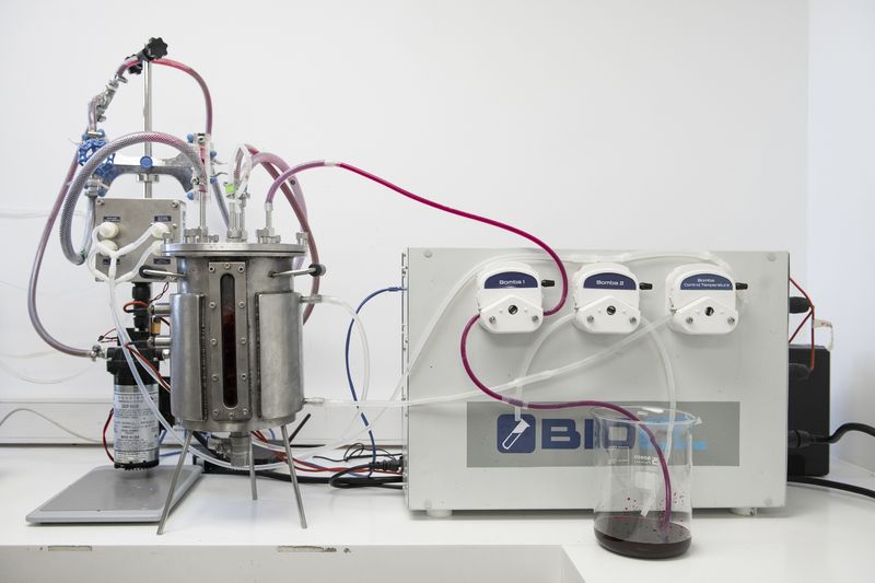 Winery Concha y Toro SA uses advanced biochemistry to create climate change-resistant grapes. Photographer: Tamara Merino/Bloomberg