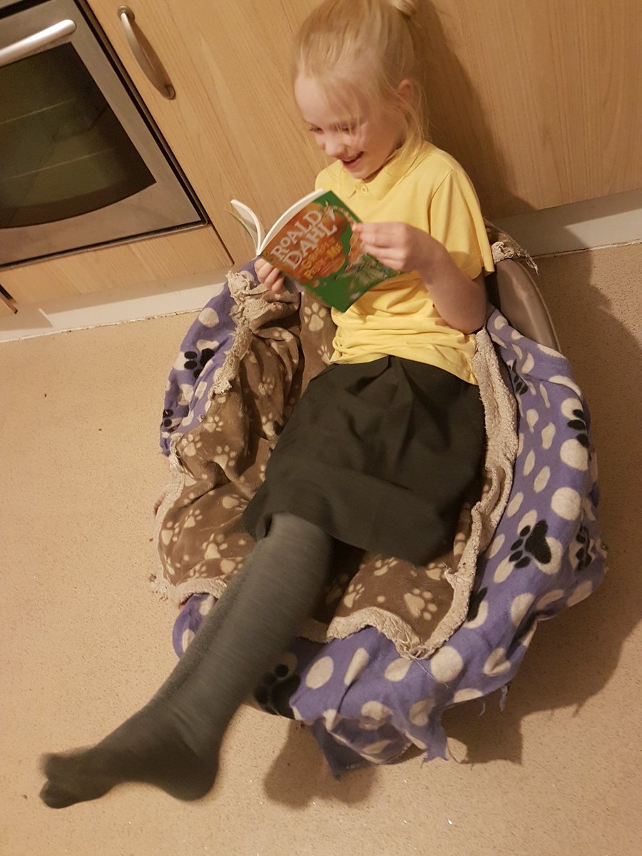 hellsbellsravn's tweet photo. @priory_primary Freya from Willow #getcaughtreading #dogbed #roalddahl #giggles #thegiraffeandthepellyandme #comfybed #happyreader #somewheredifferent https://t.co/gWfqksQeGi