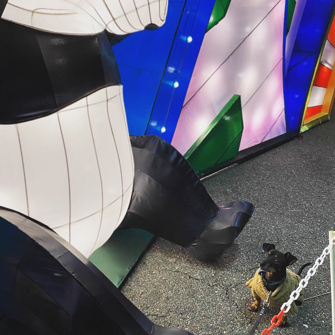 Hello Panda Festival tweet media