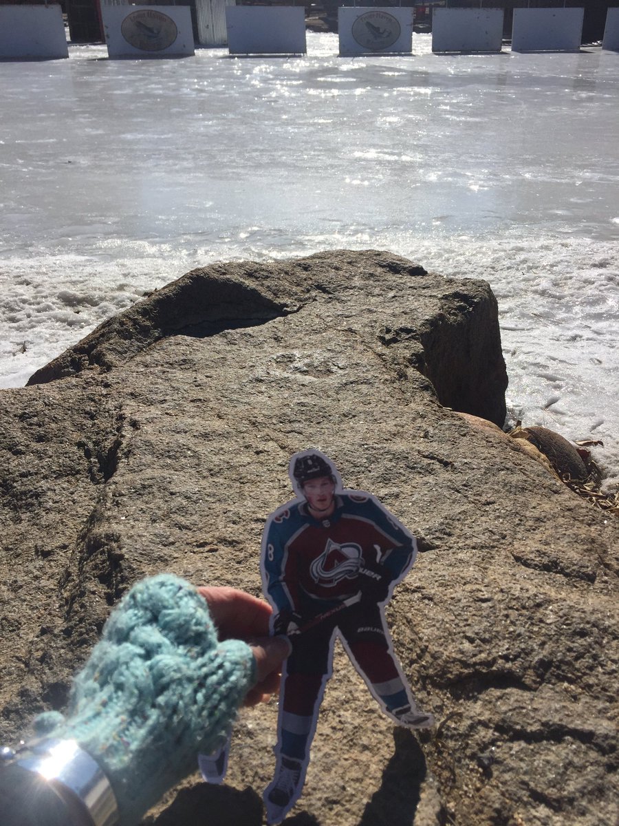 ivagonefishing's tweet photo. @Avalanche Cale is going ⛸ with me today ! Iv had WAAy to much fun with this ! 😂 #AllMailCale #NotFair #GoAvsGo https://t.co/BbHTCCjR5C