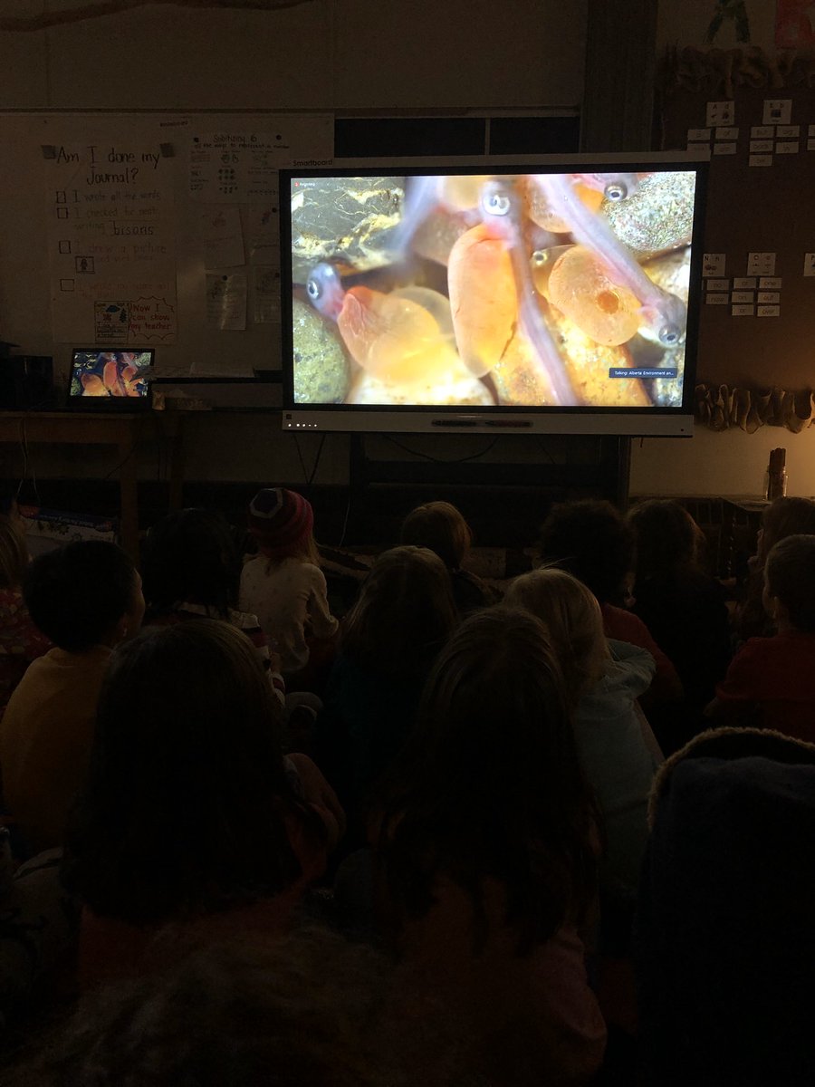 wonederers's tweet photo. Thank you @BowHabitat for holding the webinar for our children today! We learned so much about what to expect! @WeAreLouisCBE https://t.co/Yp73Pe9KCJ