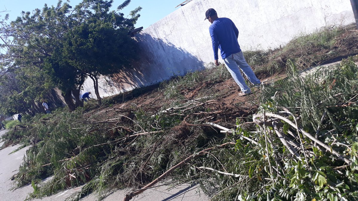 guilartenelson's tweet photo. Seguimos con el plan de Saneamiento La Isleta  #NuevaEspartaBonita  #LosAzulesEnAccion cubriendo la vía de punta a punta desmalezando y limpiando todos los sectores gracias a @alfreditodiaz quien si trabaja por el estado #NuevaEspartaNosUne #ElBuenGobierno #28Enero @GobiernoENE https://t.co/mobsglairw