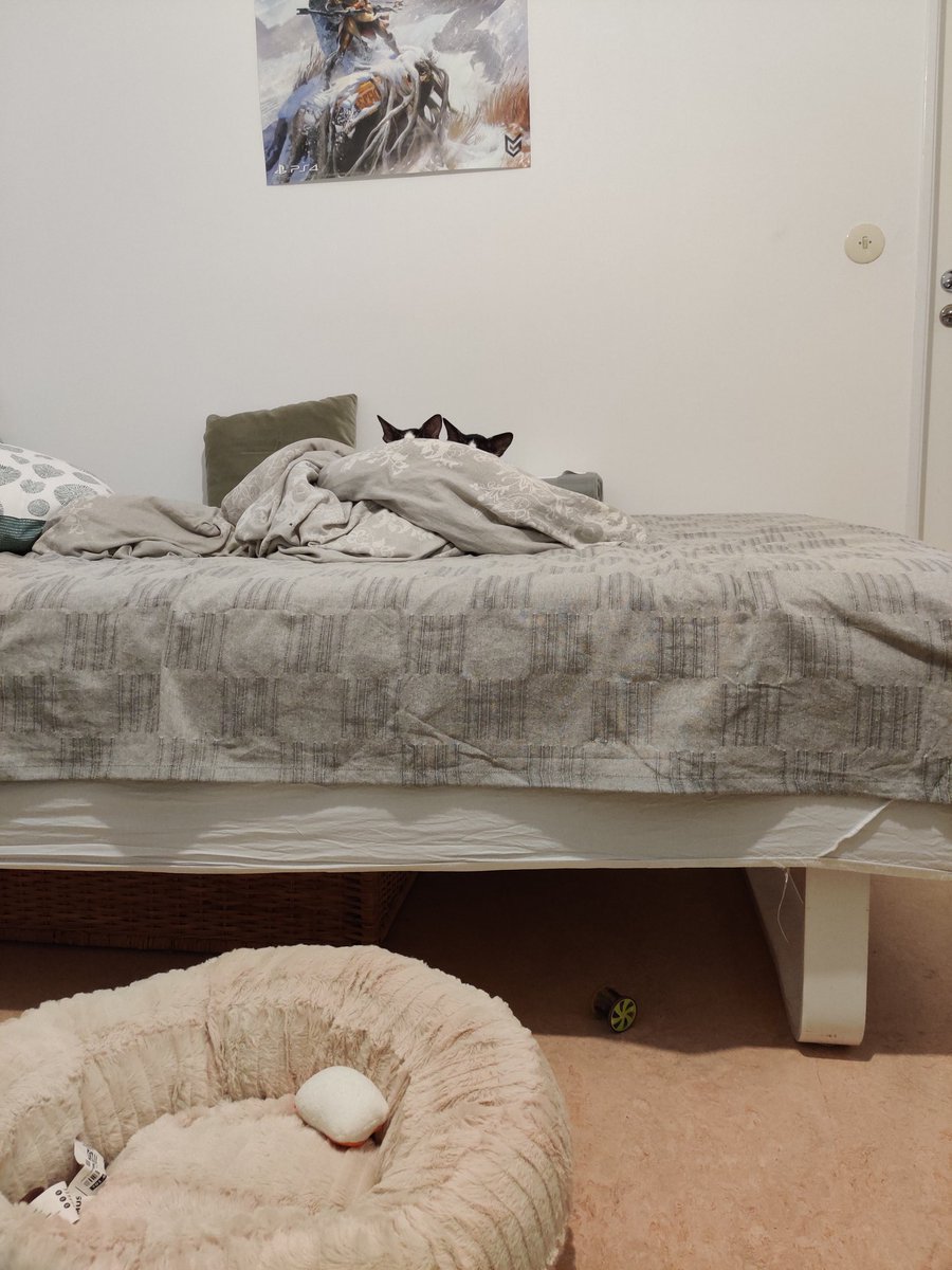 ili0s 🔪 tweet media