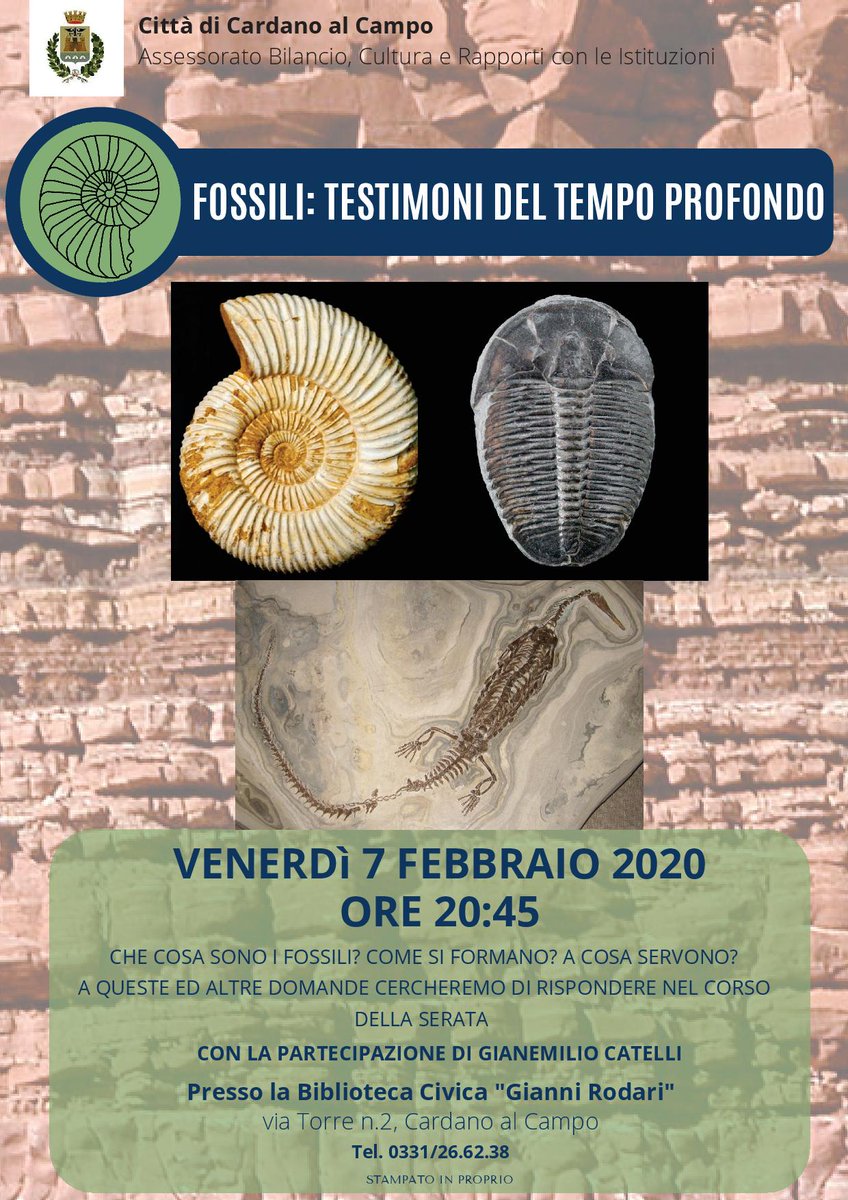 CardanoalCampo's tweet photo. Fossili: testimoni del tempo profondo, venerdì 7 febbraio alle ore 20.45 presso la Biblioteca Civica. 
Ingresso libero e gratuito. https://t.co/OlzbPwgIG7