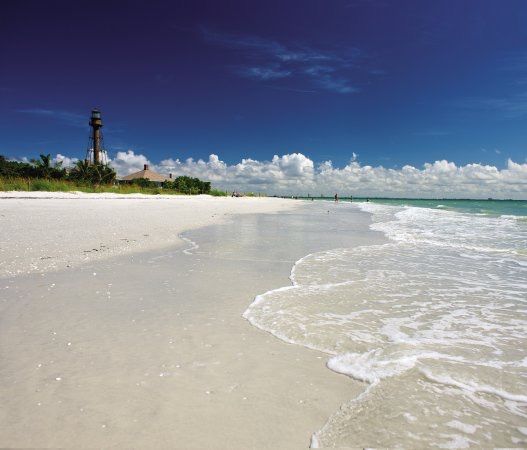 GreenAndCoBiz's tweet photo. Southwest Florida Cities Are Booming- https://t.co/oo1hmbH4tP #TheGreenAndCoDifference #BusinessGuideFlorida https://t.co/On6i0w6gSu