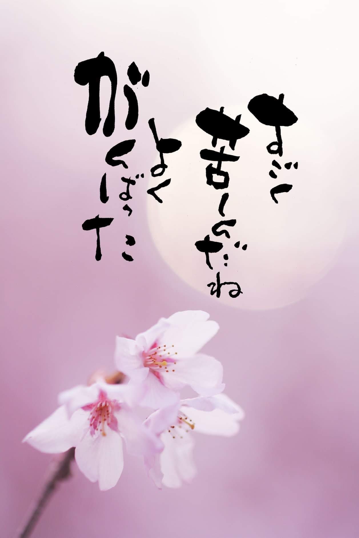 壊れ者の心の歌 恋している あなたの顔は 満開の花のよう 笑顔が ほら キラキラ咲いている 五行歌 ポエム 恋歌 生きる 病気と前向きに向き合ってる方と繋がりたい いまある命 感謝 命 ファインダー越しの私の世界ᅠ T Co Cbhdbdq84g