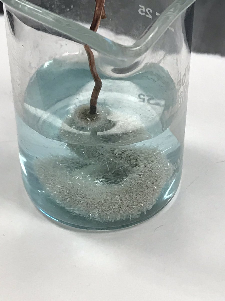 czavacki's tweet photo. Chemistry is beautiful. @AnjanaIyer #allkidscanlearn #singlereplacement https://t.co/Ocjz5eHZZA