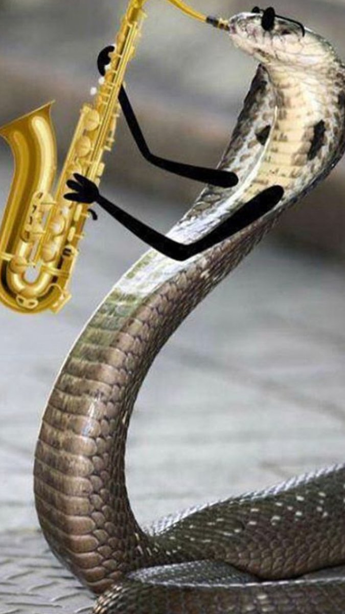 Sotaire2's tweet image. @THEMARCHING100 @FAMU_1887 

FAMU Saxophone section after the #HBOB2020, we know our sound is not a #Point5 reduction in score.

#thefixwasin