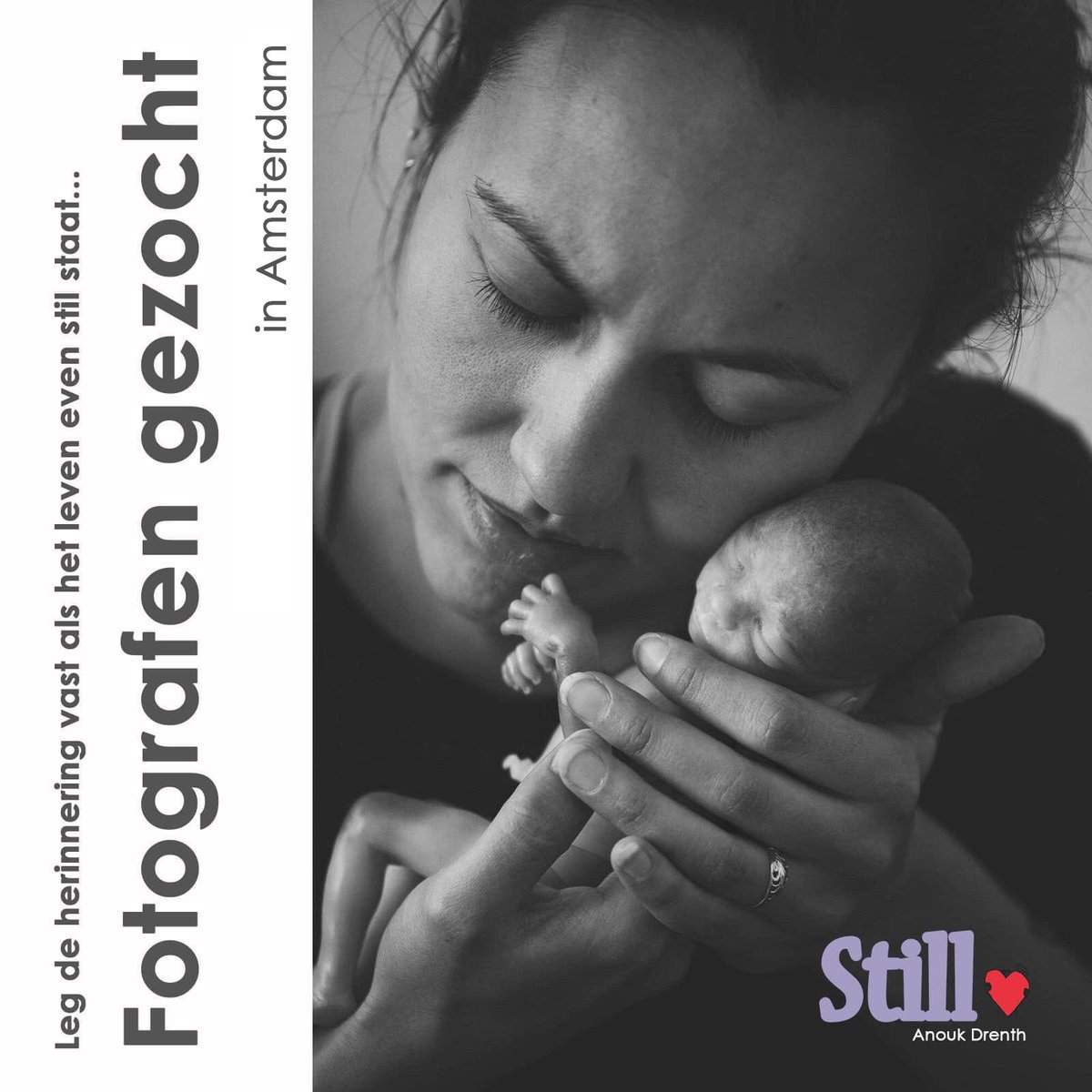 StichtingStill's tweet photo. Zoekt met spoed fotografen in regio Amsterdam! Zie: https://t.co/kBmmIZRWjy https://t.co/MM0cwJh0wm