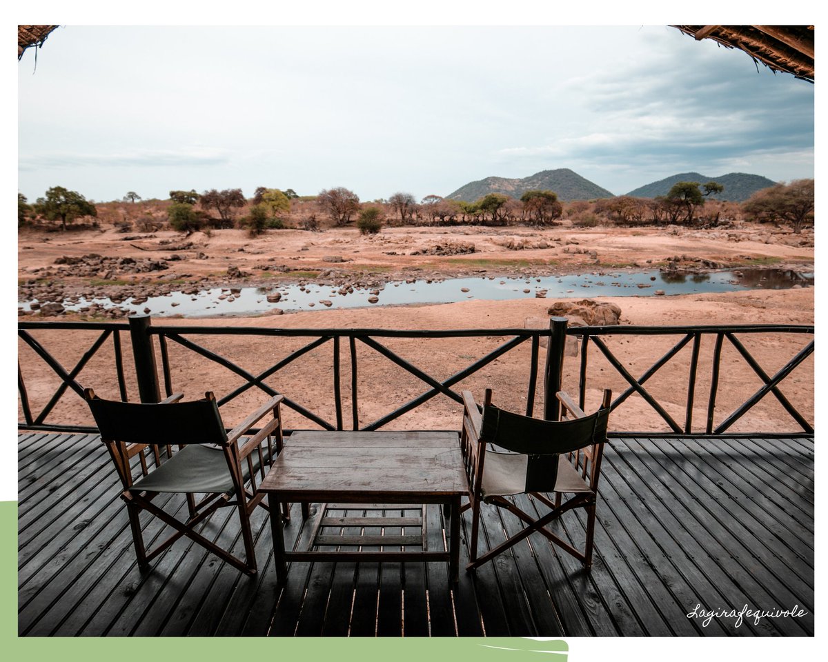 Il n'y a pas que le nord de la #Tanzanie à découvrir 🇹🇿 Le sud est tout aussi étonnant, époustouflant et ... méconnu ! Je vous en parle dans mon tout dernier article sur le blog lagirafequivole.com/voyage-tanzani…
#Tanzania #safari #voyage