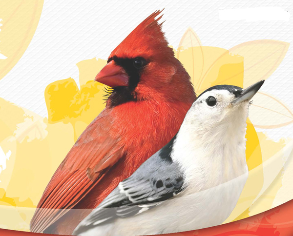 UPCO's tweet photo. Attract the Extraordinary with Wild Delight Premium Outdoor Bird Food! - https://t.co/KlwvJG5Em1 #TreatingPetsLikeFamily #OutdoorBirds https://t.co/g6Eo7gjPFb