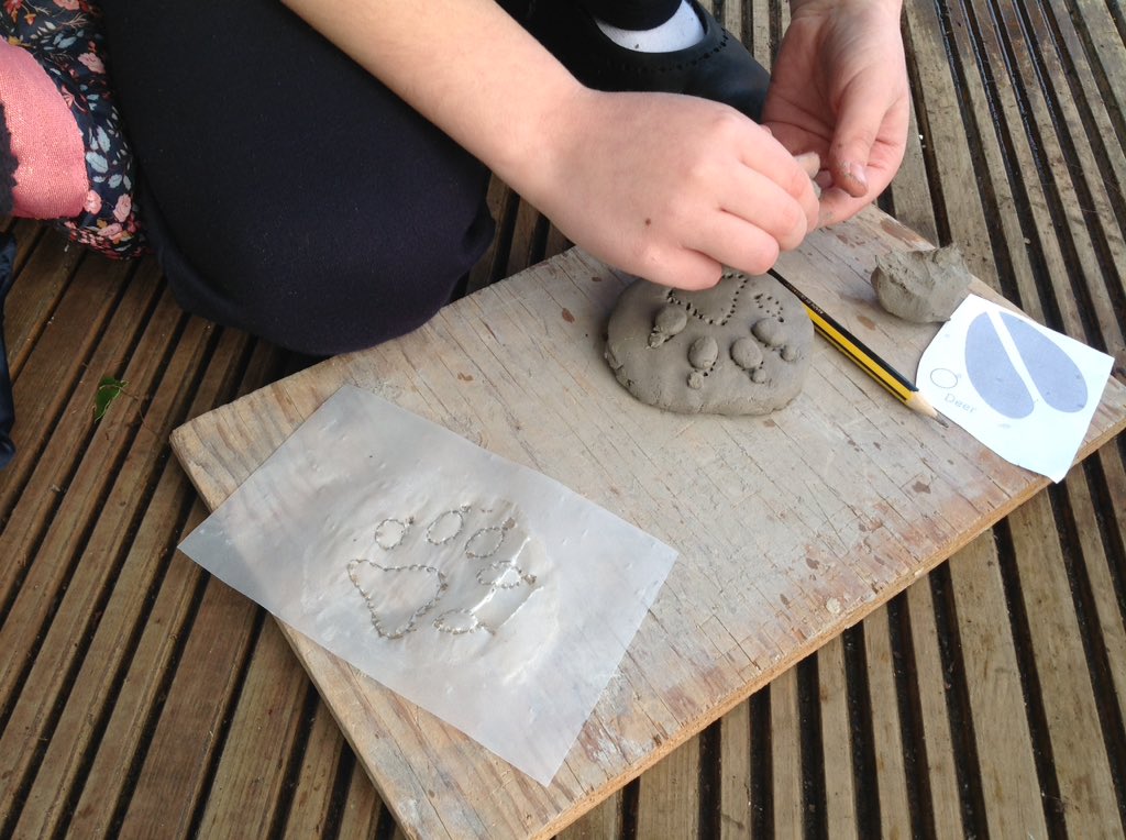 BreamoreSchool's tweet photo. Trailblazers have been recreating the tracks of a variety of New Forest wildlife in clay, to use as we work towards our Stage 2 Commoning Champion Badge.@Shared_Forest https://t.co/ClGlnhvB4u