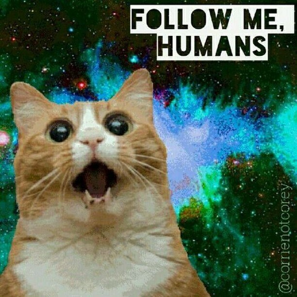 Reperkusound tweet media