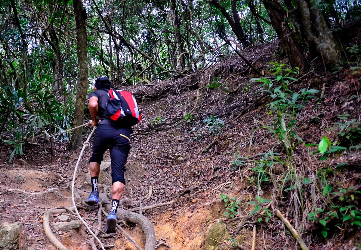 bujoee1's tweet photo. " Semakin banyak pengalaman yang kita dapatkan dalam pendakian , semakin bijak pula perkataan kita "
#hiking #kisahdunia #alam #pendaki #enjoythemoment #bs #bujoesystem #unleashthepowerwithin #anokganu #bukitbesar #terengganu #coachinglife #cyclinglife https://t.co/YAU0A7DCyr