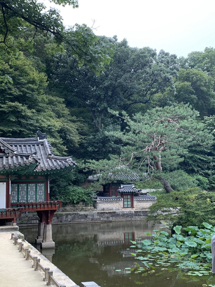 Kuku4KooKoo's tweet photo. More from Busan/ Seoul the first one is my ABSOLUTE fave place. The Secret Garden at one of the Palaces. #capturelifewitharmy @OneInAnARMY #CaptureLifeWithTaehyung https://t.co/aKu2pXVL8a