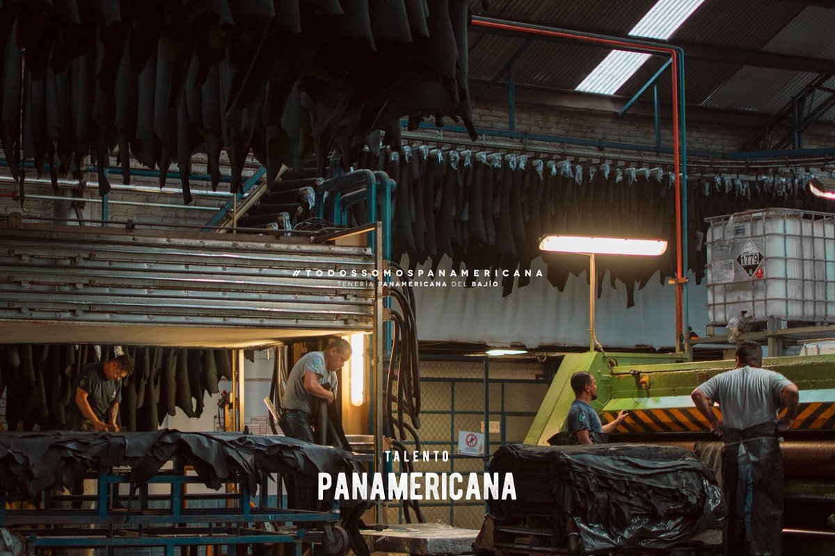TePanamericana's tweet photo. #TALENTOPANAMERICANA👷
#TeneriaPanamericana #DoItInLeather #Tannery #Leather #TodosSomosPanamericana https://t.co/sBRZKf65MW