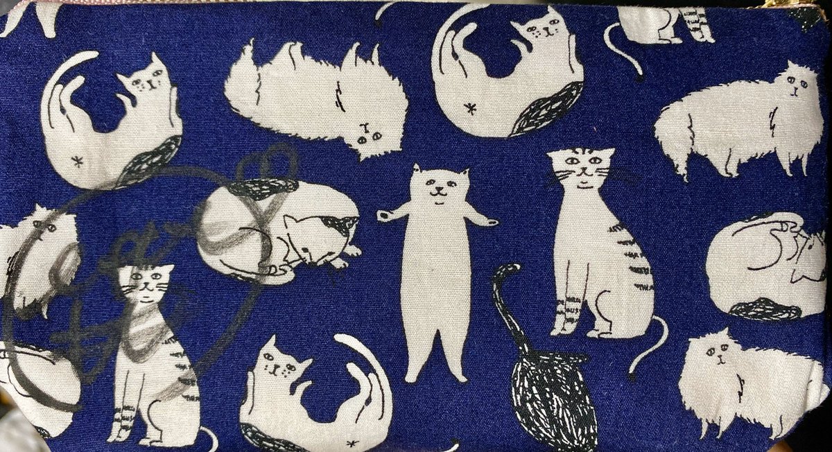 桃丸ねくとという頑張り屋さんがいた物的証拠があるのでこれからも忘れることはないしどんな決断であれ推すことしかできない推しだからこれからも推し続けます。頑張りすぎないで治してほしい。