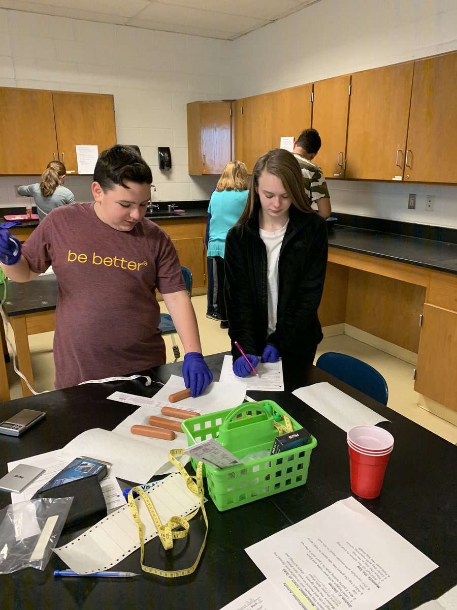 DmsWolves's tweet image. Hot dog mummification #dmsrocks