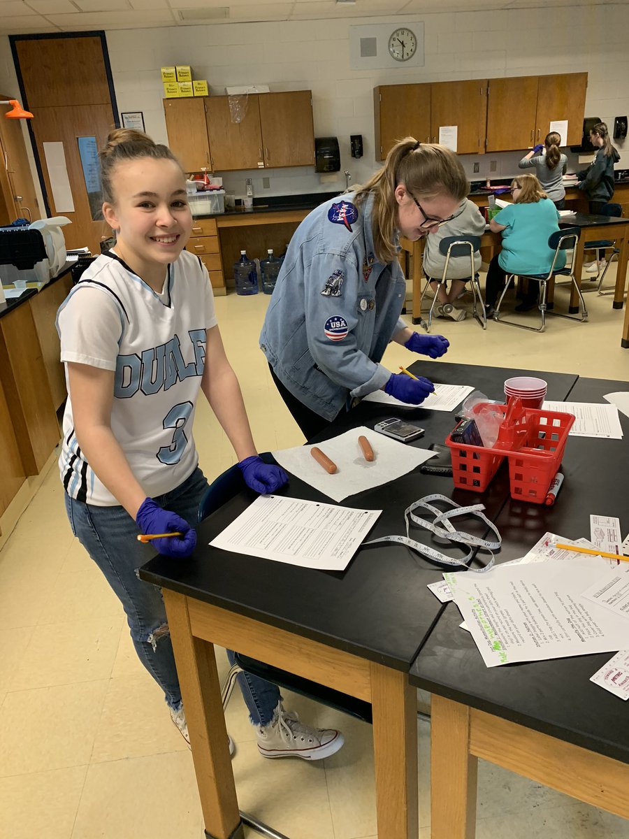 DmsWolves's tweet image. Hot dog mummification #dmsrocks